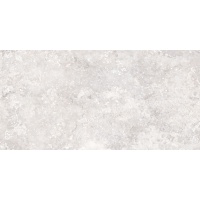 MOON gris 60x120 | 01S | rekt | R9