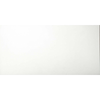 POLAR white | bílá | mat | 30x60 | 01S