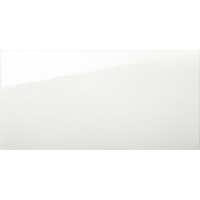 WHITE glossy | bílá | lesk | 30x60 | 01S | rekt