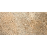 BASEL brown 30x60 | 01S | rekt | R10 | 8mm