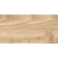 LEGNO oak 30x60 | 01S | R9