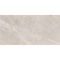 VOLGA gris | 60x120 | 01S | mat | rekt | R9