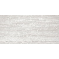 TIVOLI gris | 60x120 | 01S | mat | rekt | R9