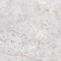 MAINE gris 60x60 | 01S | rekt | R9