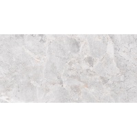 MAINE gris 60x120 | 01S | rekt | R9