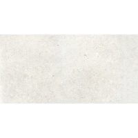 TREVISO natural 60x120 | 01S | rekt | R9