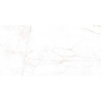 CALACATA gris 60x120 | 01S | mat | rekt | R9