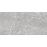 METEOR gris | 60x120 | 01S | mat | rekt | R9