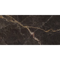 WINDSOR black 60x120 | 01S | rekt | NPLUS | lesk | R9