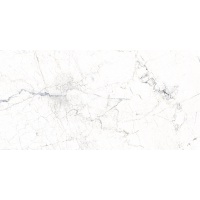 WINDSOR white 60x120 | 01S | rekt | SSHINE | R9