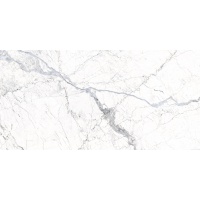 WINDSOR white 60x120 | 01S | rekt | R9