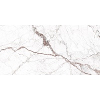 WINDSOR burgundy 60x120 | 01S | rekt | R9