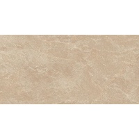 CHAMONIX clay 2.0cm | 60x120 | 01S | rekt | R11-C