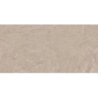 THUNDER light grey 60x120 | 01S | rekt | R10 | nat 