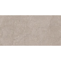 EVOLUTION light grey 60x120 | 01S | rekt | R9 | soft shiny 