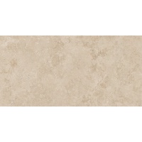 EVOLUTION beige 60x120 | 01S | rekt | R9 | soft shiny 