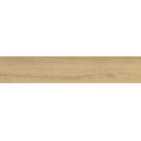 AGAR beige 23x120 | 01S | R9