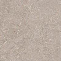 EVOLUTION light grey 60x60 | 01S | rekt | R11/C | ASR 
