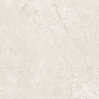 EVOLUTION white 60x60 | 01S | rekt | R10 | nat 