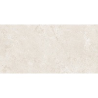 EVOLUTION white 60x120 | 01S | rekt | R9 | soft shiny