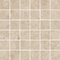 EVOLUTION beige mosaica | 30x30/5x5 | 01S | rekt | R10 | nat 
