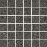 EVOLUTION black mosaica | 30x30/5x5 | 01S | rekt | R10 | nat 