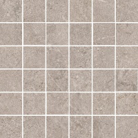 EVOLUTION light grey mosaica | 30x30/5x5 | 01S | rekt | R10 | nat 