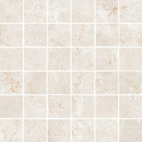 EVOLUTION white mosaica | 30x30/5x5 | 01S | rekt | R10 | nat 