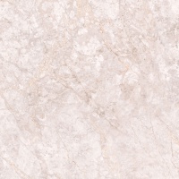 DEREN gris 60x60 | 01S | rekt | R9